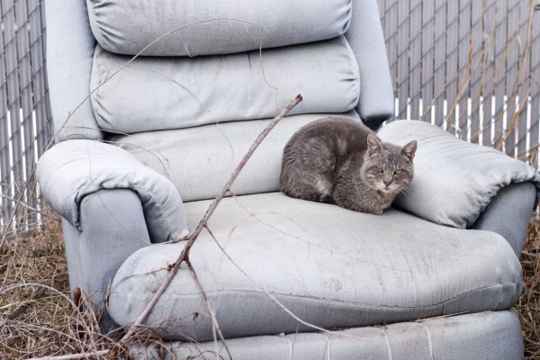 Recliner Disposal in Ankeny