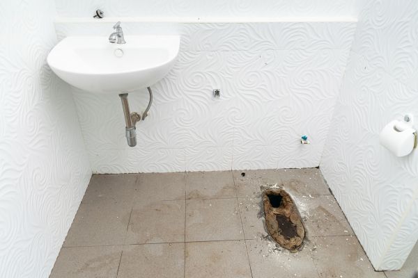 Toilet Disposal in Ankeny